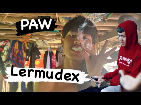 Reaction; LerMuDex - PAW @Poebeat22