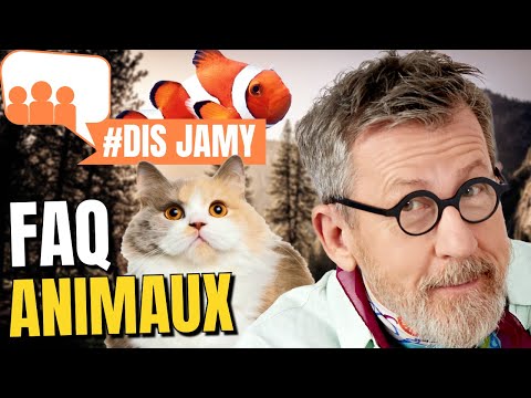 7 réponses sur les animaux 2 • FAQ Dis Jamy 😺🦋🐟🐠🐔🦜