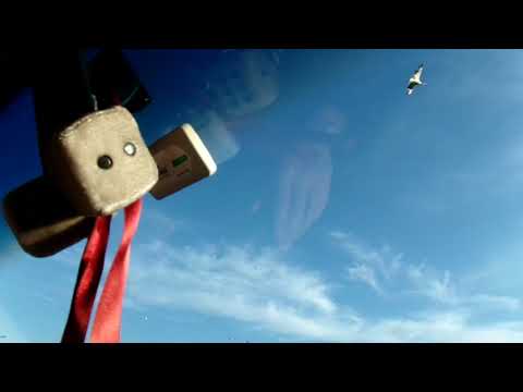 VLOG 1 | ROADTRIP PORTUGAL - DIA 1