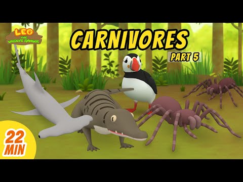 Carnivores Minisode Compilation (Part 5/6) - Leo the Wildlife Ranger | Animation | For Kids | Family