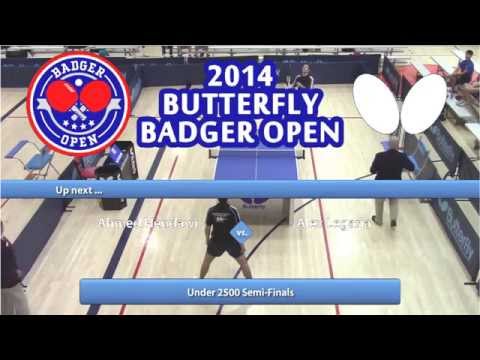 2014 Butterfly Badger Open - U2500 Semi-Final #1