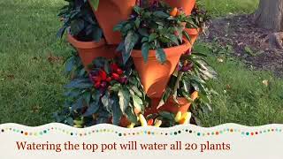 How To Build A Vertical Garden With Mr Stacky