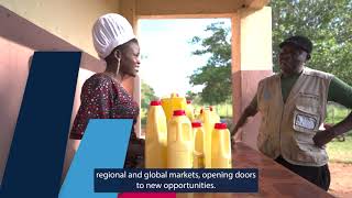 Climate-Resilient and Competitive SMEs in Uganda | KOICA-ITC STAR Project