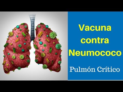 Esquema  de vacunas contra el Neumococo