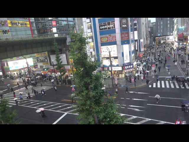 秋葉原の通り（オノデンから）