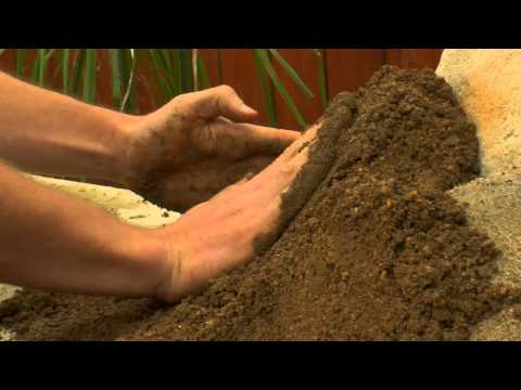 Flick Trix - Customizing Your Dirt Track