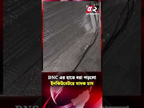 DNC এর হাতে ধরা পড়লো ইনকিউবেটরে মাদক চাষ | DNC | Incubator