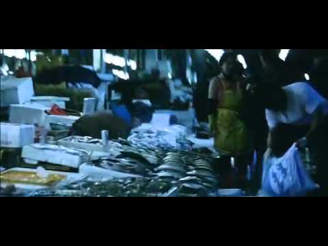 download lagu mp3 mp4 Na Jaane Koi Kaisi Hai Yeh Zindagani Free, download lagu Na Jaane Koi Kaisi Hai Yeh Zindagani Free gratis, unduh video klip Na Jaane Koi Kaisi Hai Yeh Zindagani Free