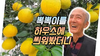 논산에서 
