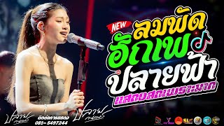 Download lagu ลมพัดฮักเพ l ปลายฟ้า l ฮักอ้ายพ่ายเด้งดึ๋ง แสดงสด ปลาย กนกพร mp3