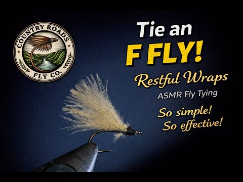 F-Fly