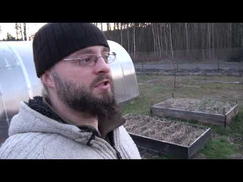 Ogrodowe pierdamony 46 - podlewanie przy mrozach w nocy