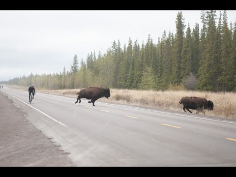 The Ride of Your Life