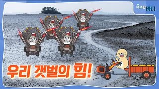 우리 갯벌의 힘!