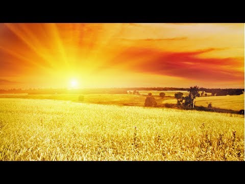 Erweitere mein Gebiet!