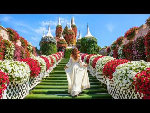 Dubai Miracle Garden video thumbnail