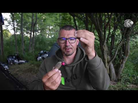 Blaž Mikuž - "Criticals" Summer