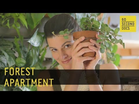 Forest Apartment | Summer Rayne Oakes // 60 Second Docs