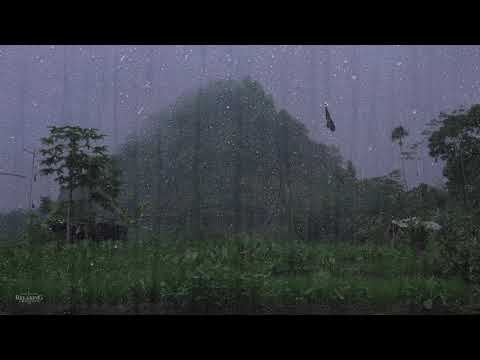 Real Rain & Thunder Sounds in Foggy Mountain | Help with Sleep, Insomnia, PTSD