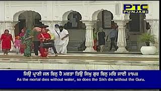 Meri Khalon Mojre Gursikh Handande - Bhai Amandeep Singh Ji Hazoori Raagi Shri Harmandir Sahib Ji