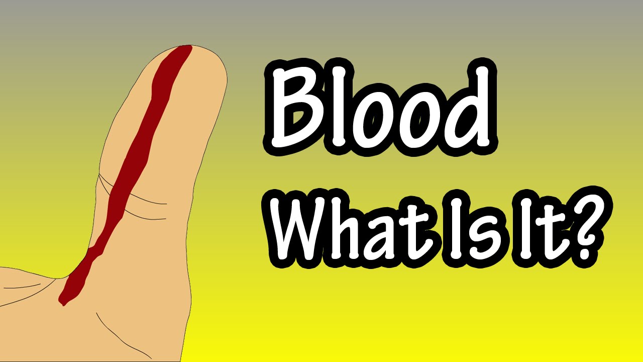 What is blood in one word?