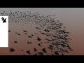 Jan Blomqvist - Carry On (Rezident Remix) [Official Visualizer]