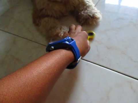 My dog knows how to embarrass me in front of people!!!!!!!!