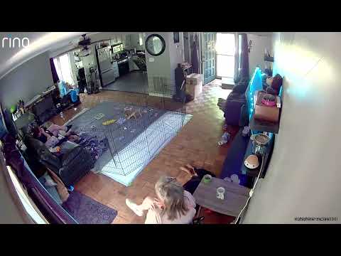 She's trying to fight me under the table