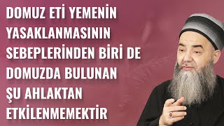 Domuz Eti Yemenin Yasaklanmasının Sebeplerinden Biri de Domuzda Bulunan Şu Ahlaktan Etkilenmemektir