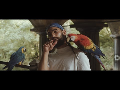 K. Waltz - GODIVA (Official Video)