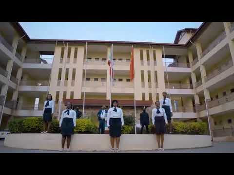 Olegue - Boss (Official Video)