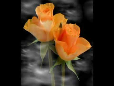 စိန္တိုး - K K K  ထိုင္၀မ္  ( ပန္းလက္ေဆာင္ Mono )  ေတးဂီတ   Dr  Hlabu  UK