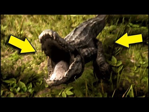 ЧТО БУДЕТ ЕСЛИ ВСТРЕТИТЬ АЛЛИГАТОРА? - Red Dead Redemption 2 (Что если вас заметить крокодил?)