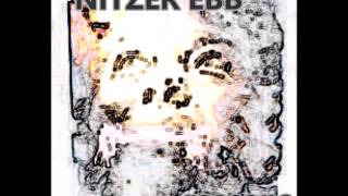NITZER EBB   reasons