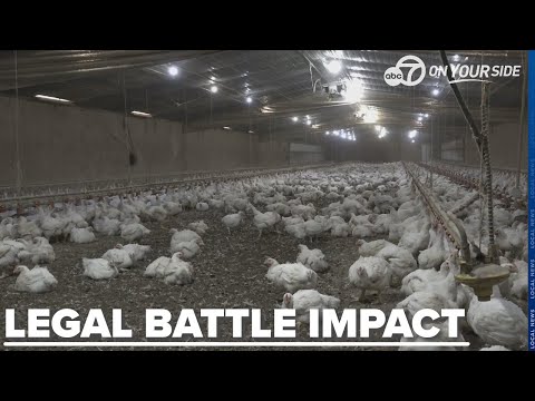 Oklahoma lawsuit victory may mean end of many poultry farms in Northwest Arkansas