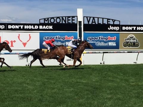 VOBIS GOLD STAR-24JAN MOONEE VALLEY