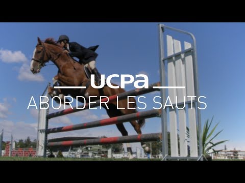 Horse Riding Tutorials #11 - How to Tackle Obstacles