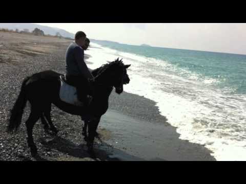 Circolo Ippico La Bruca - Mariano Fazio Scalea (CS)