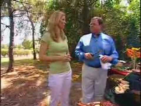 The Balancing Act Show 829 - Marinating the Perfect Steak