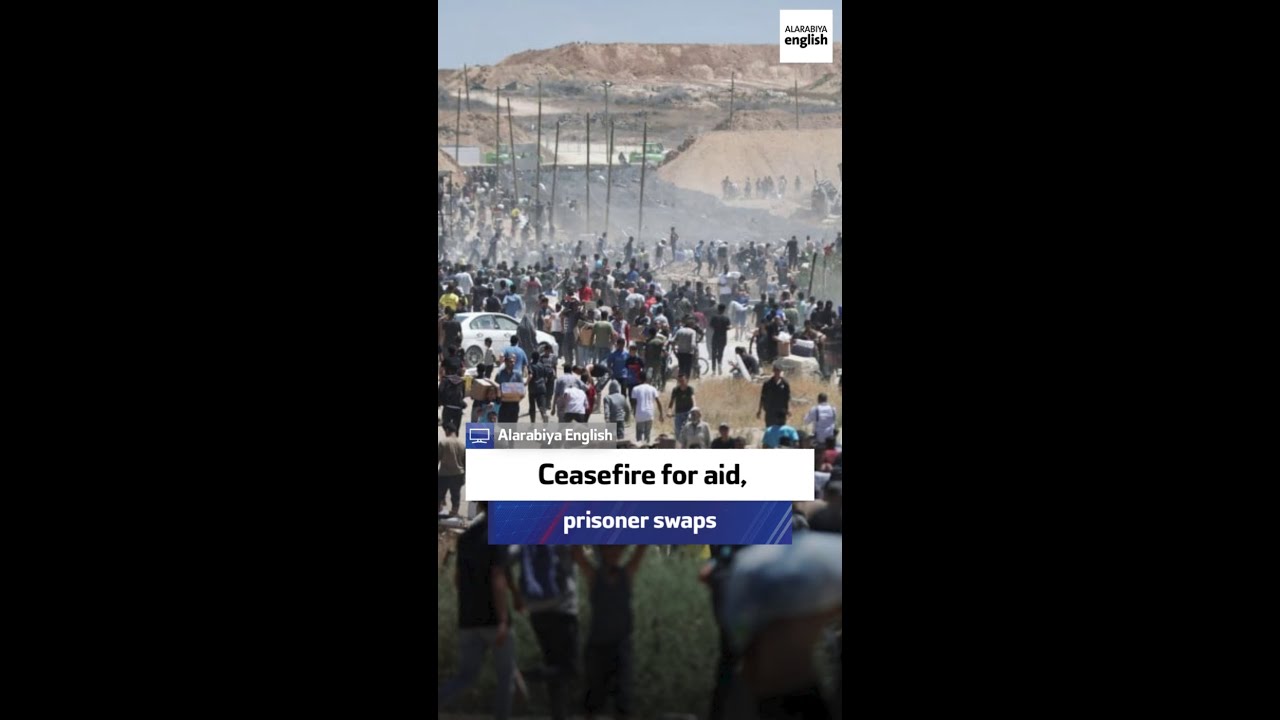 Palestinian ambassador: Ceasefire for aid, prisoner swaps