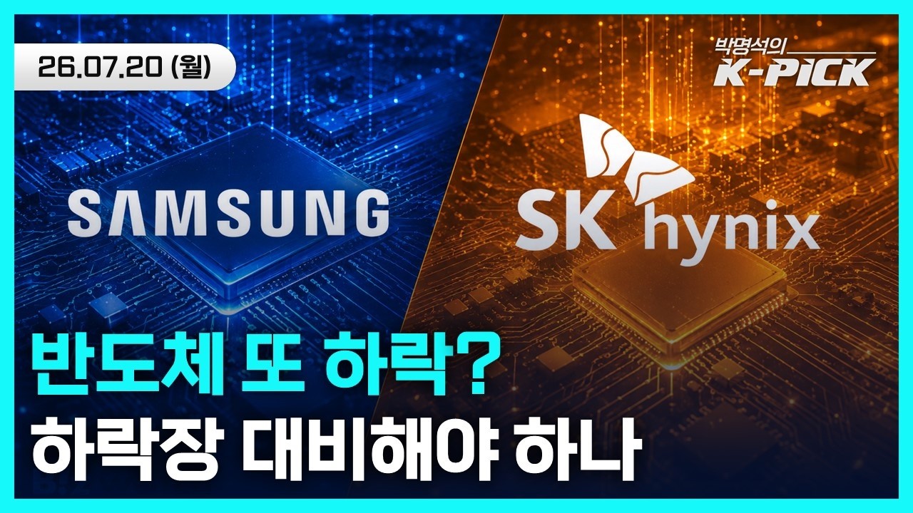 반도체 또 '충격' 하락장 대비해야 하나