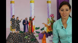 #33 Segunda plaga -ranas-