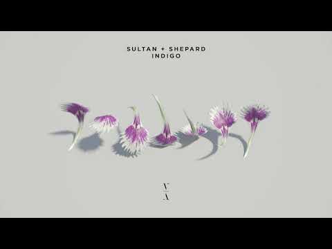 Sultan + Shepard - Indigo