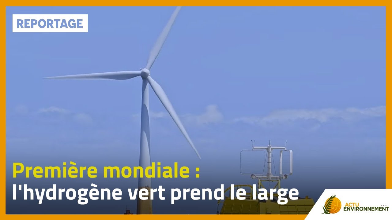 Première mondiale : l'hydrogène vert prend le large