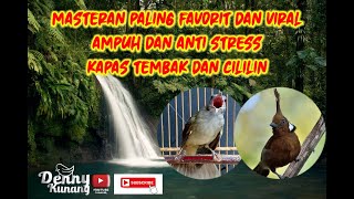 Download lagu MASTERAN FAVORIT DAN VIRAL | DUET MAUT KAPAS TEMBAK DAN CILILIN | COCOK MURAI,MB TROTOL,KACER,LB,IJO mp3 Download lagu MASTERAN FAVORIT DAN VIRAL | DUET MAUT KAPAS TEMBAK DAN CILILIN | COCOK MURAI,MB TROTOL,KACER,LB,IJO mp3