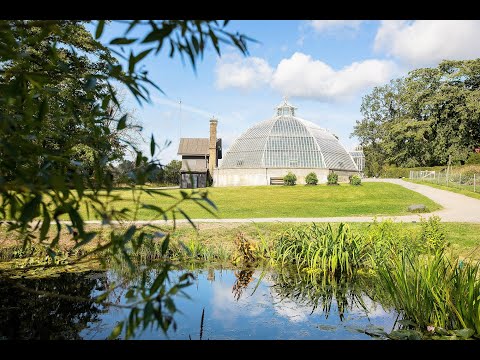 Bergshamra - Områdesvideo