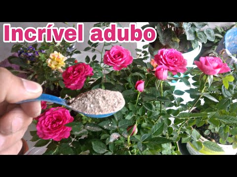 Adubo que faz sua planta ficar linda e florida