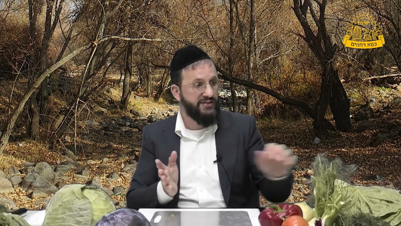 חרקים זעירים – מותר או אסור ? | כשרות למהדרין | הרב חננאל כהן