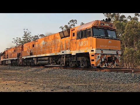 6KT8 JBRE "Great Southern" (NR31, NR30), Deep Lead to Coffs Harbour, 1842, 20/12/24, Deep Lead VIC