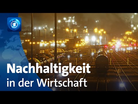 Nachhaltiges Wirtschaften oder Greenwashing: ESG-Kriterien für Unternehmen
